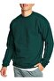 Hans men's ecosmart technology sweatshirt