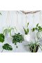 4 Pack Macrame Plant Hangers with Hooks, Cotton Rope Hanging Planter Holders for Indoor Outdo - 5