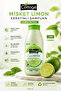 Purifying & Repairing Keratin Shampoo 250 ml - Lime Extract