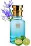 Oil Based Perfume for Men – Inspired by Armaneii Coode – Amber Woody Fragrance – Alcohol‑Free – 8–10 Hr Wear – Bergamot, Clary Sage & Tonka Bean Notes – Formal & Evening Scent (30 ML)