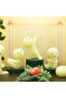 Yoga Series (SINGLE RANDOM) - 3