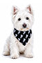 Adjustable Scarf, Chest Harness and Travel Strap Set of 3 - 4