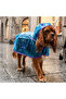 Dog Small and Medium Breed Raincoat Otso Transparent Blue - 3
