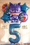 Pjmasks Cat Child 5 Years Old Birthday Party Balloon Set Pijamaskeliler Cat Child Theme Party Balloon Set