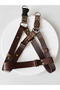 Dog Chest Harness Adjustable and Leash Set of 2 for Small & Small to Medium & Large Breeds Dark Brown - 2