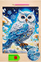 Diamond Mosaic Painting, 30X40 White Owl Bead Gluing Kit