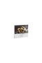 Rembrandt Polycolor Dry Paint 24 Colors