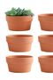 S 6 PCS Terracotta Buld Pots 3.5"x2.2" Flower Pots Clay Pottery Planter with Drainage Hole Cactus S. - 7