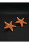 Sea Star Model Mine Handcrafted Steel Women's Earrings Summer Model Stylish Accessory Jewelry Titanium Summer Style New Gift Luck - 7