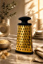 Gold Stainless Steel Grater Multi-Purpose Kitchen Grater with Ergonomic Handle - 1 Pc - 3