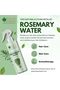 Rosemary Water Spray, 2x100ml | Natural Steam Distilled Rosemary Water For Hair & Skin | Helps Reduce Hair fall, Strengthens Hair - 2
