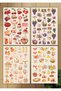 Summer Picnic Sticker Book |   Planner Journal Agenda Scrapbook Set Sb0010 - 5