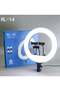 RL14 Ring Light Tripod LED Soft Ring Light with Remote Control - 4