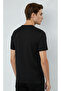 3 Pieces 100% Cotton Daily Basic T-Shirt-7076 - 5