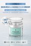 Skin Rebalancing Balancing Mattifying Face Cream 30 ml