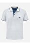 Gewer Slim Fit Men's Polo Collar Short Sleeve Striped T-Shirt 7702