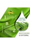 V Care Silky Senses Body Lotion 500ml|Olive and Aloe Vera Extracts|Moisturizing Body lotion for Dry and Rough Skin |Deeply nourishes revitalizes and makes your skin silky soft - 4