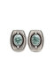 Steel Anita Earrings