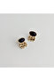 Aigle Steel Earring |   Steel Earrings - 2
