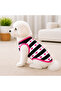 Hearted Dog Tshirt Dog Outfit - 2