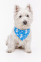 Adjustable Scarf, Chest Harness and Travel Strap Set of 3 - 4
