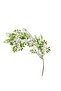 Michelia Figo Artificial Stem Flower H160cm - Green - 3