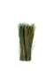 Cynodon Dried Bouquet H40cm - Green - 2