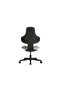 Lab Low Back Office Chair - 5