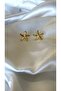 Women's Gold Color Tiny Starfish Earrings