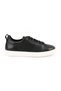Women's Sneaker with Dot Hole Detail, Antique Look, Lightweight Eva Sole, Daily Comfortable Sports Shoes Lz5894 - 2