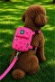 Bnt-gct-b red leash-bag-leash