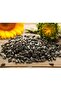 Sunflower Seeds for Pets, Parrots and Birds, 500g - 3