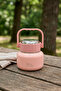 Leopard 500 ml Food Thermos with Spoon Yk1516 - 2
