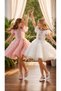 Girl's Beaded Embroidered Feather Sleeves Layered Tulle Princess Evening Dress 2-12 Years Old Wedding, Graduation, Birthday, Special Occasion - 4