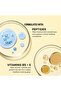 Vita Lock Multi-Vitamin Cream Makeup Base - 6