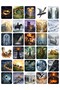 60 Pieces the Lord of the Rings Themed Sticker Set - 2 Sheets - for Laptop Notebook