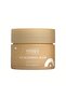 10395 – MAKE OVER 22-Lip Sleeping Mask (Vanilla)