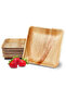Leaf 10 x 10 inch Square Plate (Pack of 25) - 3