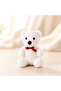 Plush Gift Set, Gift for Lover, Gift for Child, Gift for Girl, Plush Teddy Bear Gift, 5 Pieces - 4