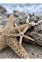 & Wooden Beaded Starfish Pendant Necklace - 3