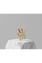 Women's Gold Color Pearl and Zircon Stone Star Dangle Hoop Cartilage Earrings - 2