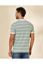 Men Green And White Striped Polo Shirt - 3