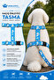 H Type Anti-Escape Travel Leash Set - 2