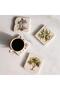Travertine Single Coaster with Olive Oil Patterned Wooden Box - 4