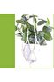 Plant Hanger Set 5 Pieces Boho Macrame | Different Sizes Plant Pot Holders for Ceiling Wall Hook She - 7