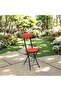 Compact Folding Chair NU-80040, Portable Metal Seating Chair with Padded Red Seat and Backrest, Durable Black Frame and Space Saving Foldable Design, Ideal for Home Office Dining Events C - 2