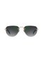 Db7144/S Pefnu Men's Sunglasses