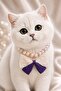 Bow Design Cat Collar - Adjustable Elegant Cat Necklace