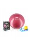 YB01 Minge de gimnastică 65CM Prun - 4