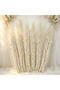 FFD Dried White Curly Willow Branches, Natural Decorative Twigs for Home & Event Styling - 6